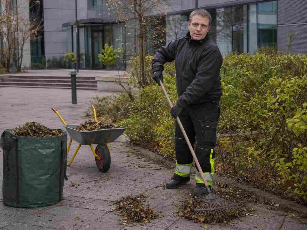 haveservice til erhverv